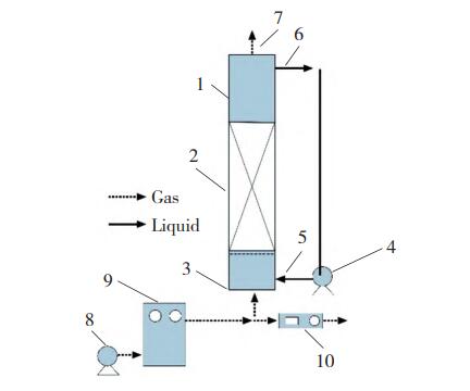 焦化廢水尾水臭氧催化氧化實驗
